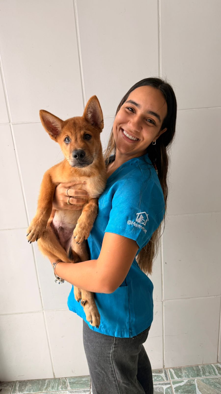 Pet atendido em casa pela Mareve em Salvador