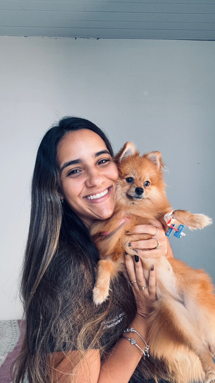 Pet atendido em casa pela Mareve em Salvador